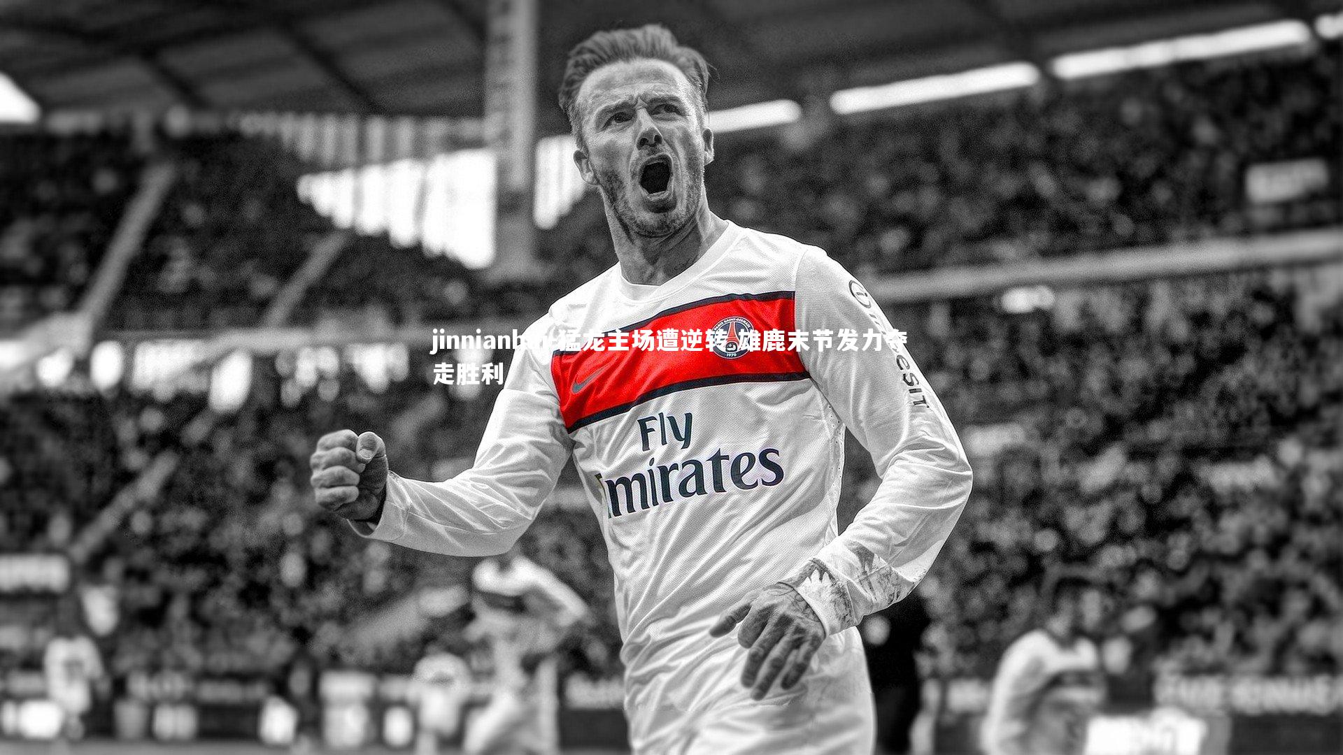 猛龙主场遭逆转 雄鹿末节发力夺走胜利